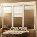 Motorized Shades and Blinds in Texas